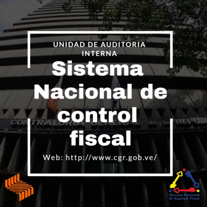  Sistema Nacional de Control Fiscal