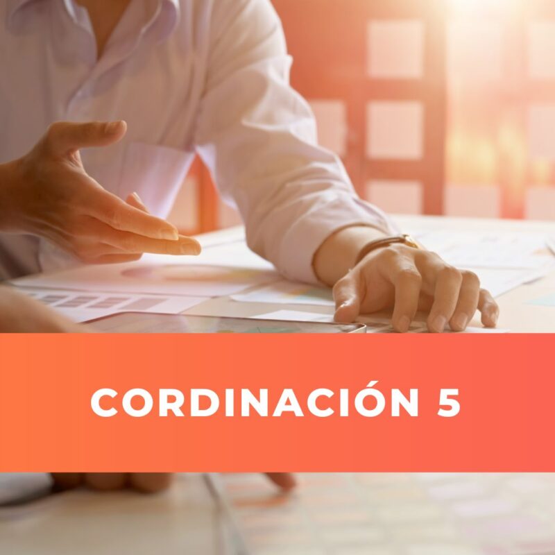  Coordinación 5
