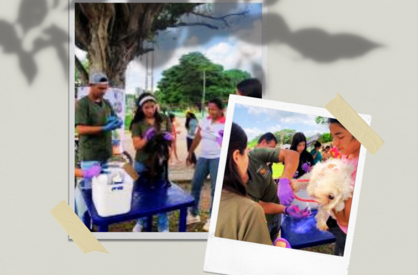  Estudiantes de veterinaria realizan jornada de atención integral en el estado Cojedes