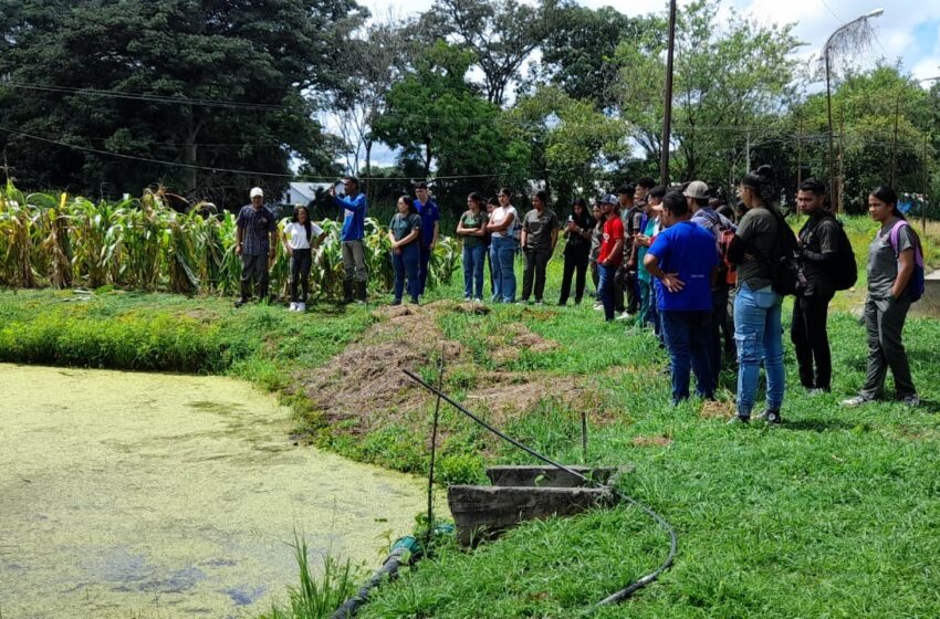  Unellistas fortalecen su aprendizaje con visita al Inces Cojedes