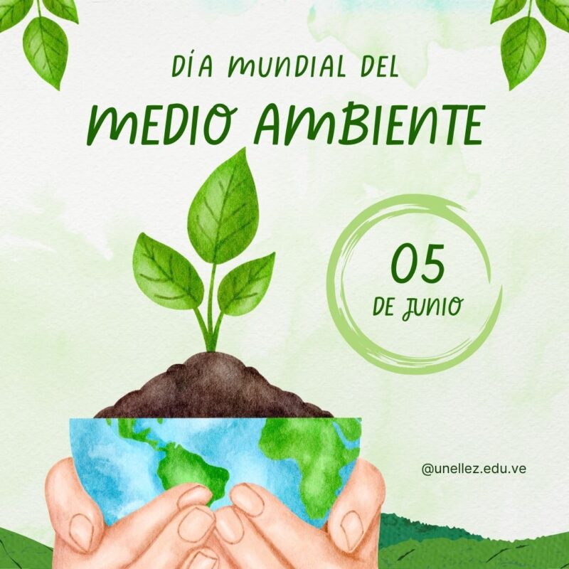  Dia mundial del ambiente